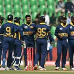 Cricket Coaching & Skills